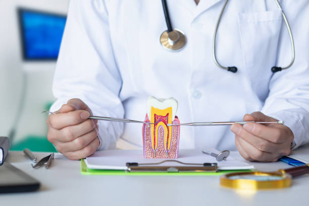 Best Emergency Dental Care for Abscessed Tooth in Kewaskum, WI